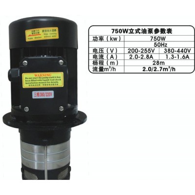 立式抽油马达WS-750,数控机床抽油马达图2