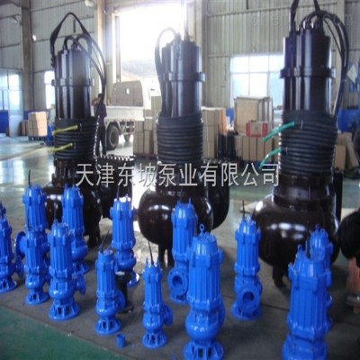 铰刀式污水泵 污水潜水泵 带切割装置潜水排污泵 高温潜水排污泵图8