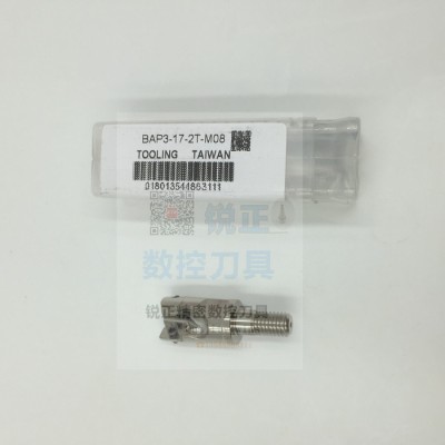锁牙式抗震刀头/铣刀头 TAP300R-20-M10-2T图1