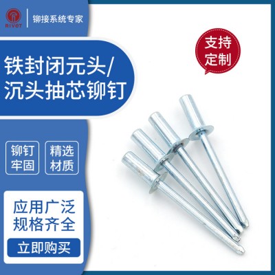 罗维特Rivet 封闭型平圆头抽芯铆钉 M6.4 30mm 全钢铁密封拉铆钉 元头封口拉钉 工厂直销 现货齐全 免费拿样图6