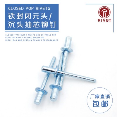 罗维特Rivet 封闭型平圆头抽芯铆钉 M6.4 30mm 全钢铁密封拉铆钉 元头封口拉钉 工厂直销 现货齐全 免费拿样图1