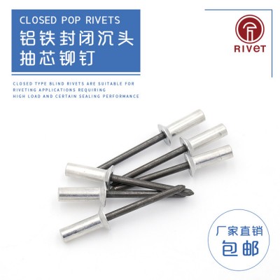 罗维特Rivet 铝铁封闭型沉头抽芯铆钉 M6.4 30mm 铝帽钢钉芯防水耐腐蚀密封拉铆钉拉钉图1