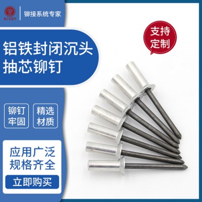 罗维特Rivet 铝铁封闭型沉头抽芯铆钉 M6.4 30mm 铝帽钢钉芯防水耐腐蚀密封拉铆钉拉钉图4