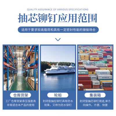 罗维特Rivet 全不锈钢封闭圆头抽芯铆钉 M6.4 30mm 304防水拉钉图4
