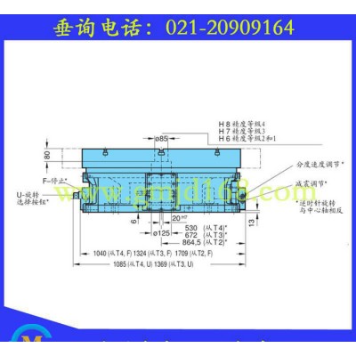 德国进口FIBRO鼠牙分度盘，11.13.8型立卧两用台面直径1000液压外控分度台图3
