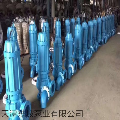 铰刀式污水泵 大型油浸泵 潜污泵参数 油浸式潜水泵图3